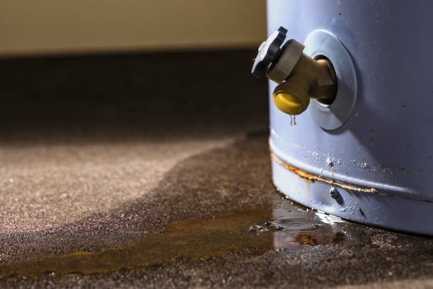 Trusted New Providence, NJ Water damage restoration Experts