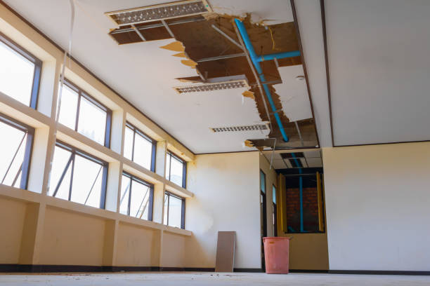  New Providence, NJ Water damage restoration Pros