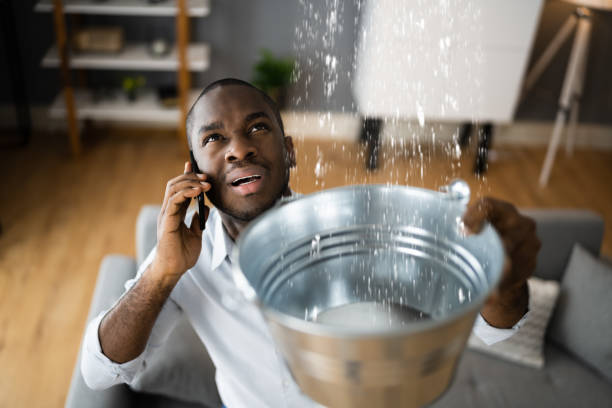 Best Water damage mitigation services  in New Providence, NJ