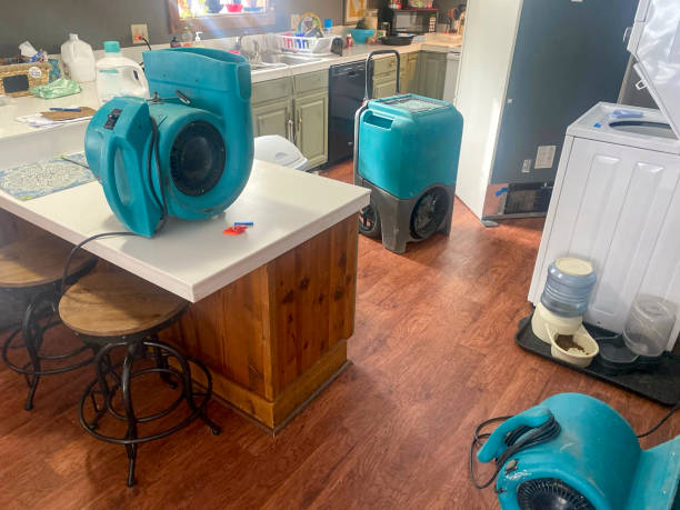 Best 24-hour water damage restoration  in New Providence, NJ