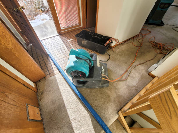 Best Flood restoration services  in New Providence, NJ