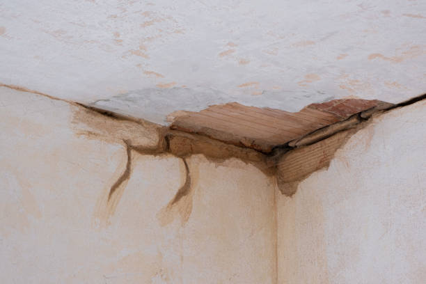 Best Water damage restoration near me  in New Providence, NJ