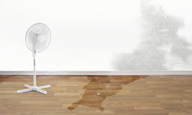 Best Ceiling water damage repair  in New Providence, NJ
