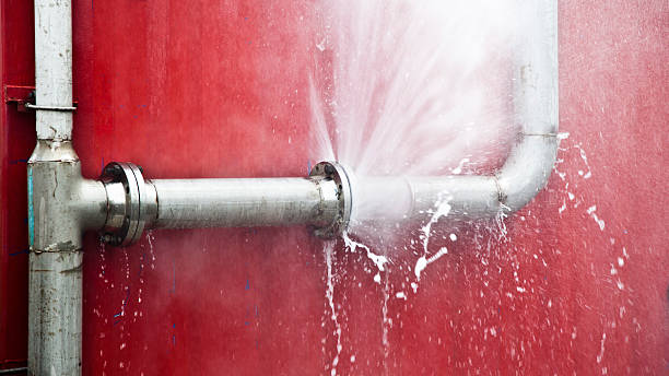 Best Basement water damage restoration  in New Providence, NJ